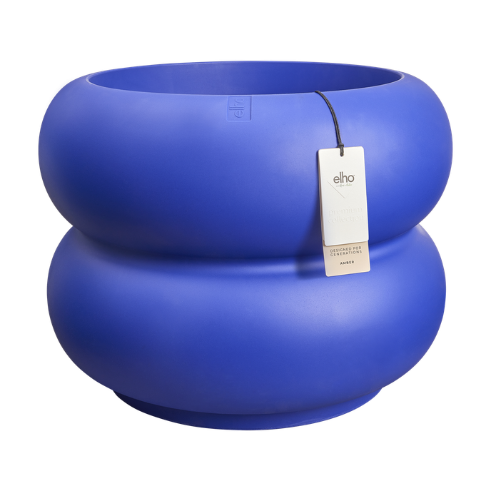 amber roll low 60 bleu royal